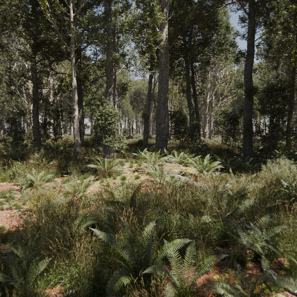 plant