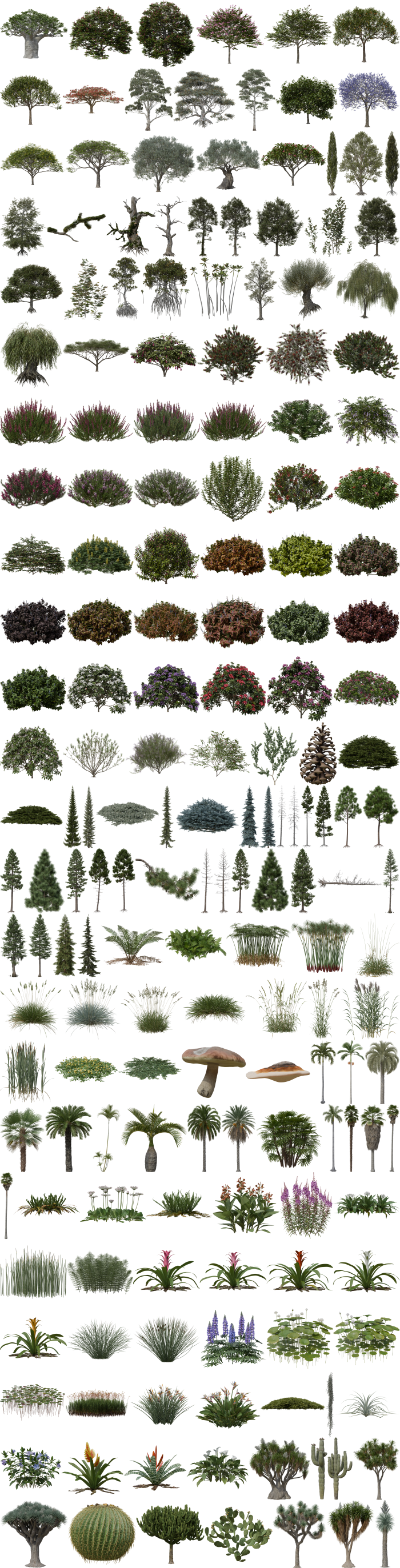 PlantCatalog